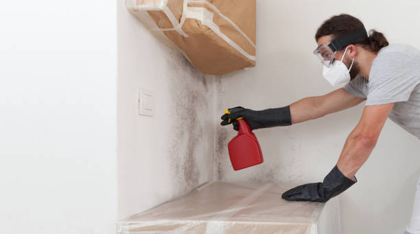 Professional Mold Inspection And Testing technician working in Leander, TX