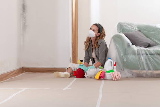 Reliable Mold Inspection And Testing contractor in Leander, TX by Car Mold Remediation